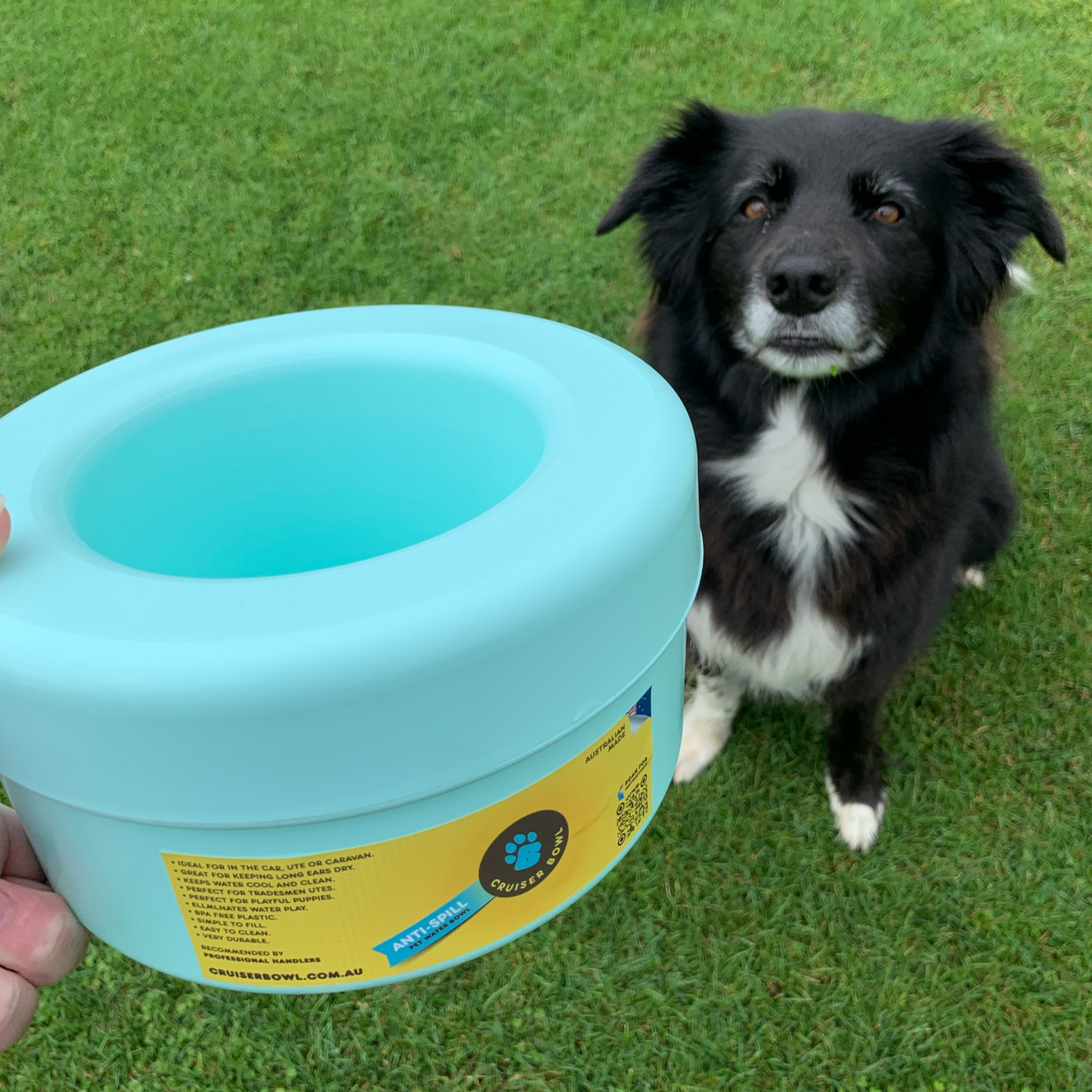 K9 Cruiser Bowl - Round