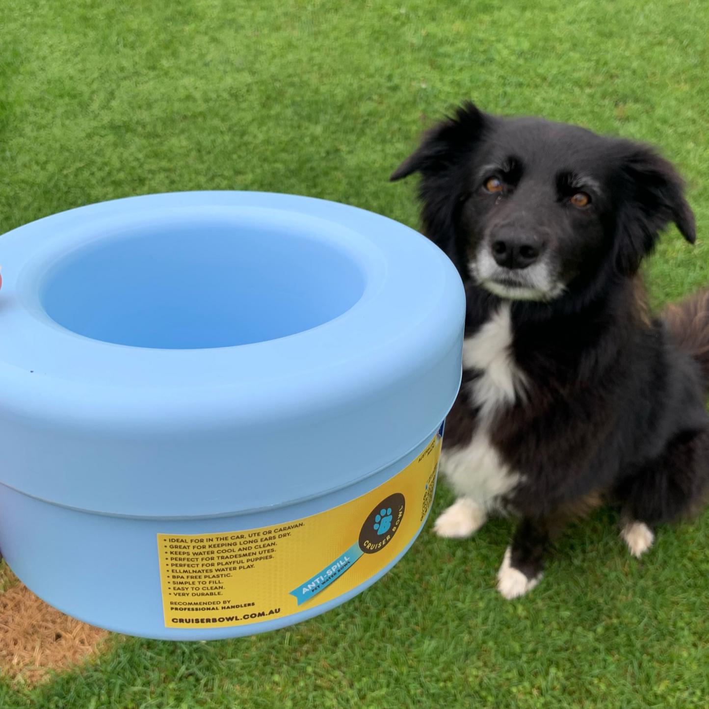 K9 Cruiser Bowl - Round