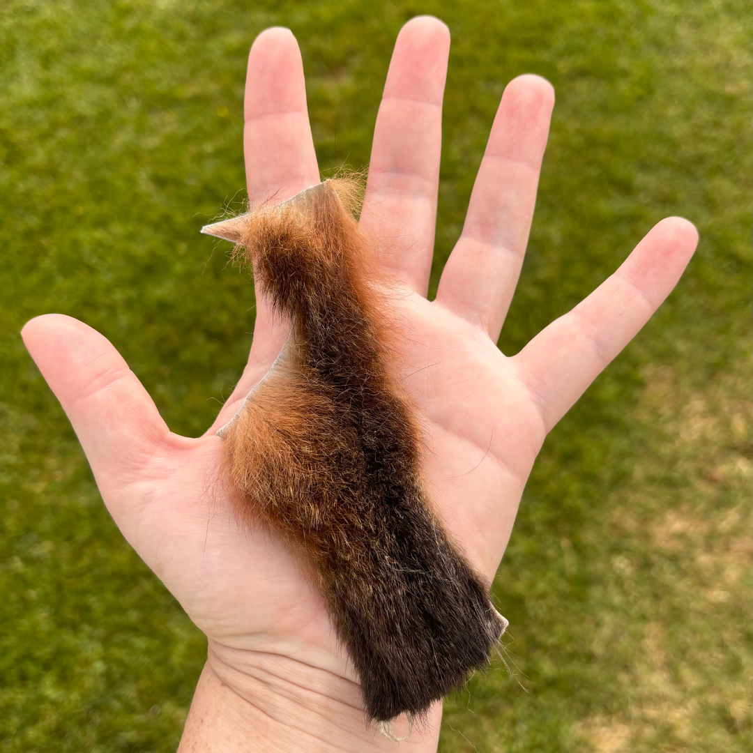 Possum fur offcut