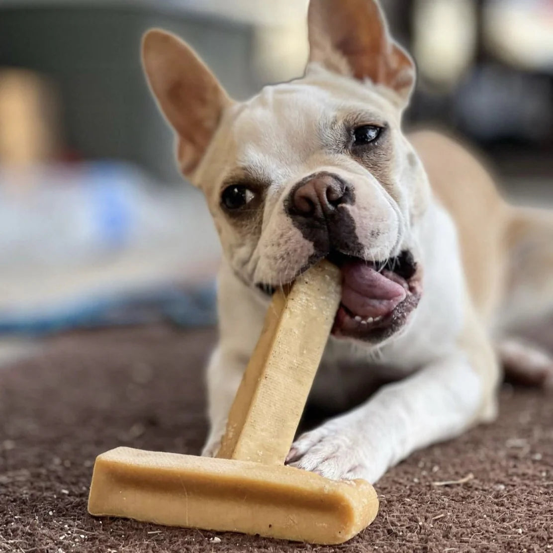 Himalayan Hard Cheese Chew