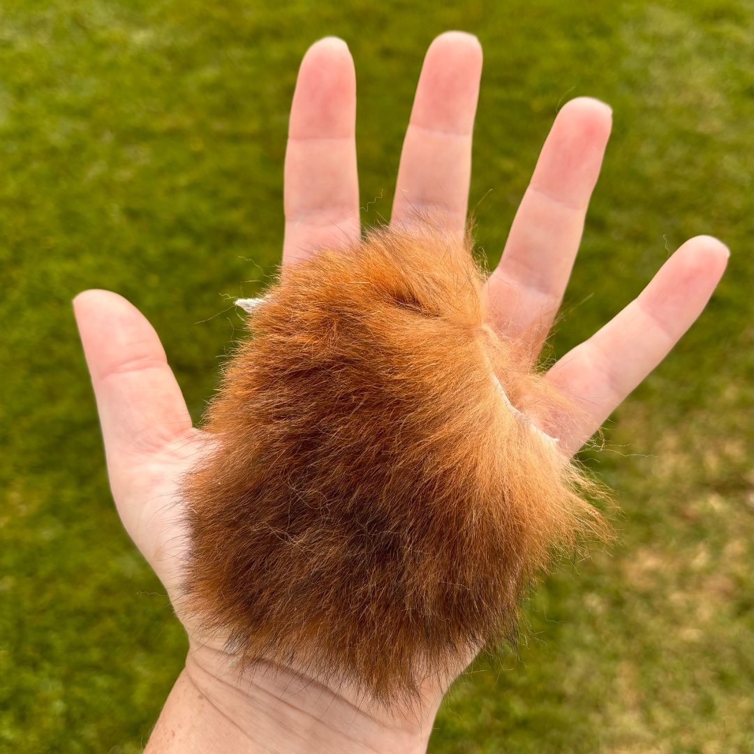 Possum fur offcut