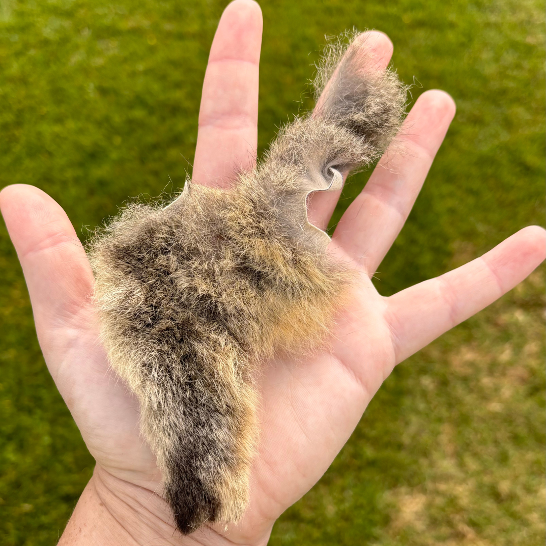 Possum fur offcut