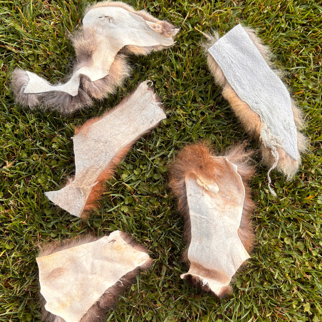 Possum fur offcut