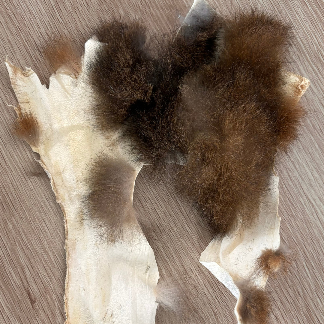 Possum fur offcut