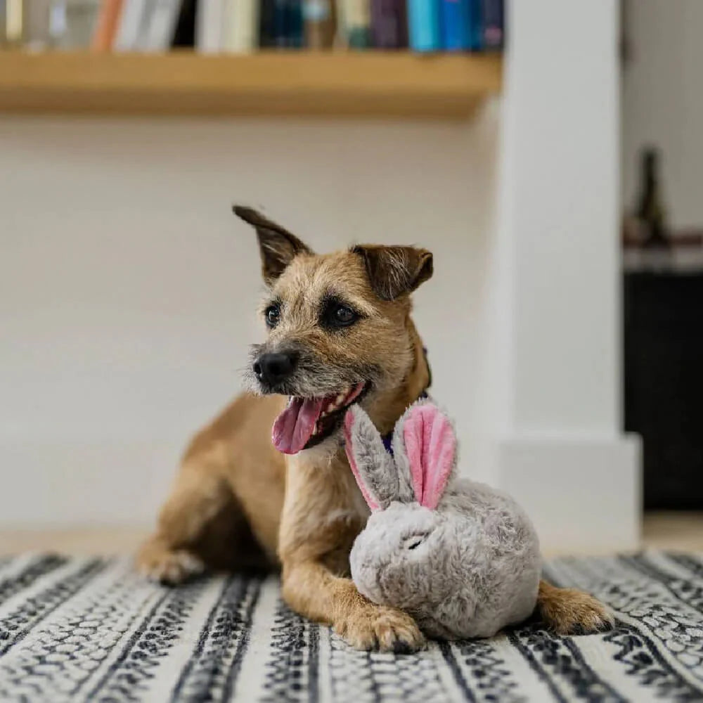 P.L.A.Y. Forest Friends Baxter the Bunny