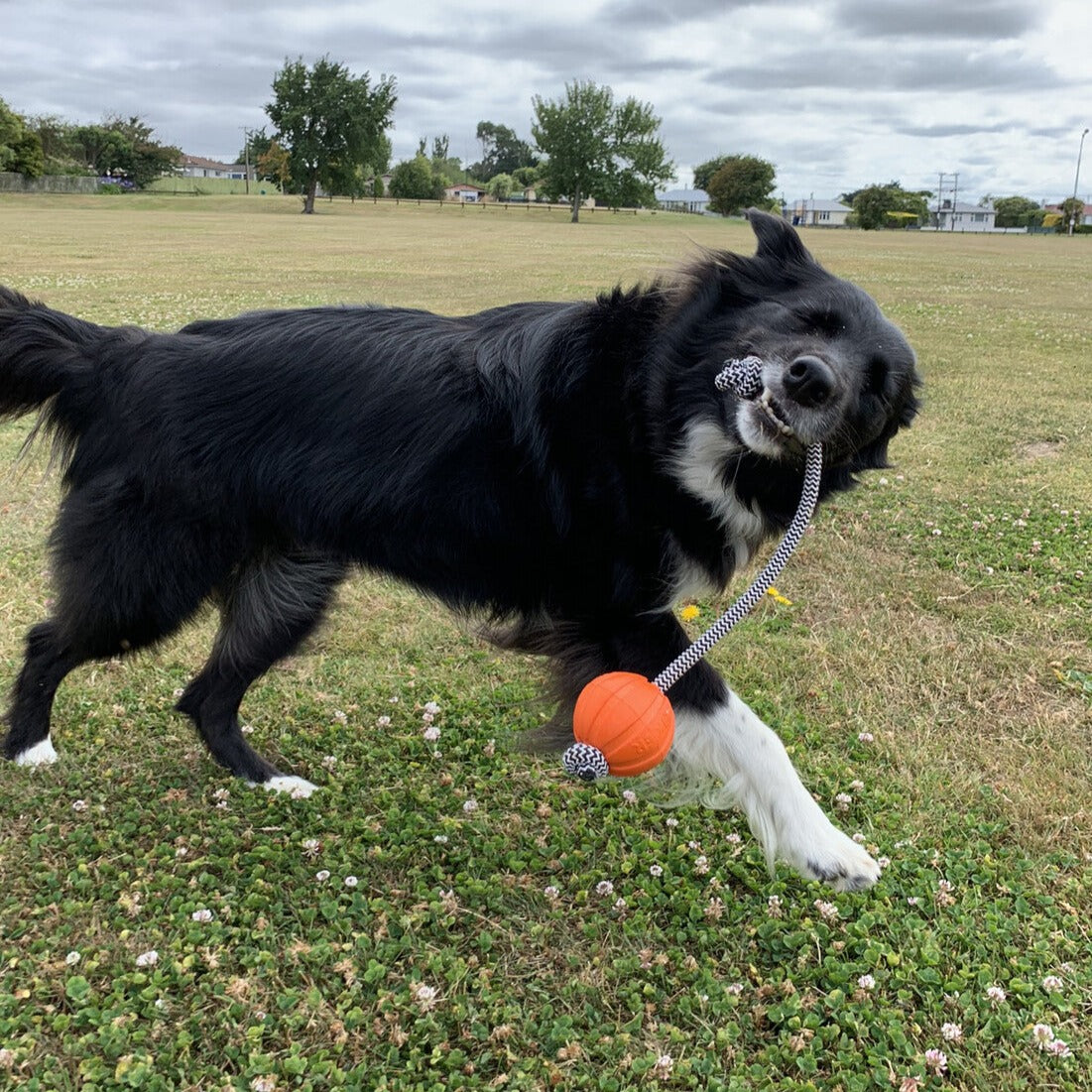 Liker Ball with Cord