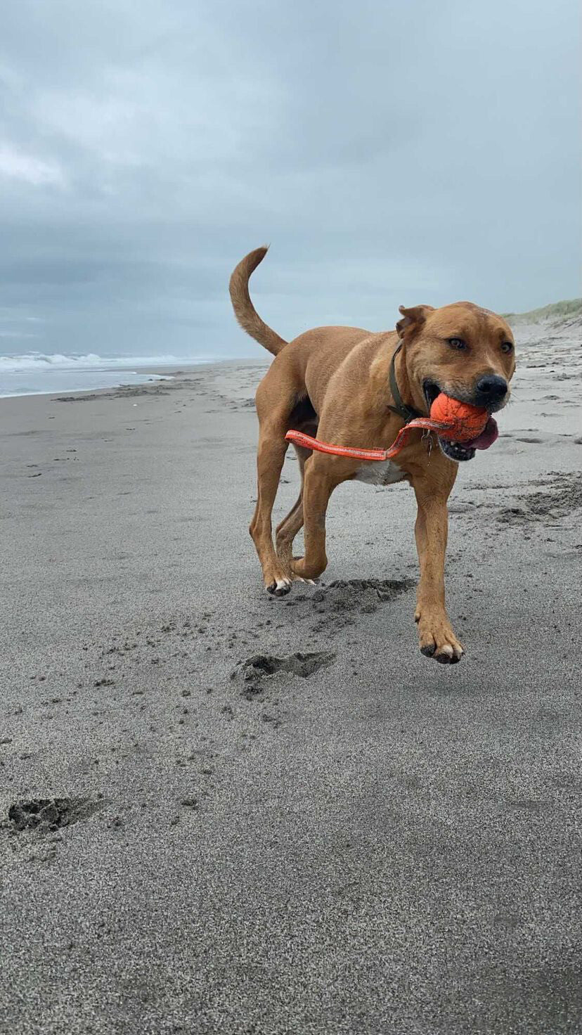 Liker Ball with Line