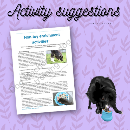 Beginners Guide to Enrichment - digital download. PDF