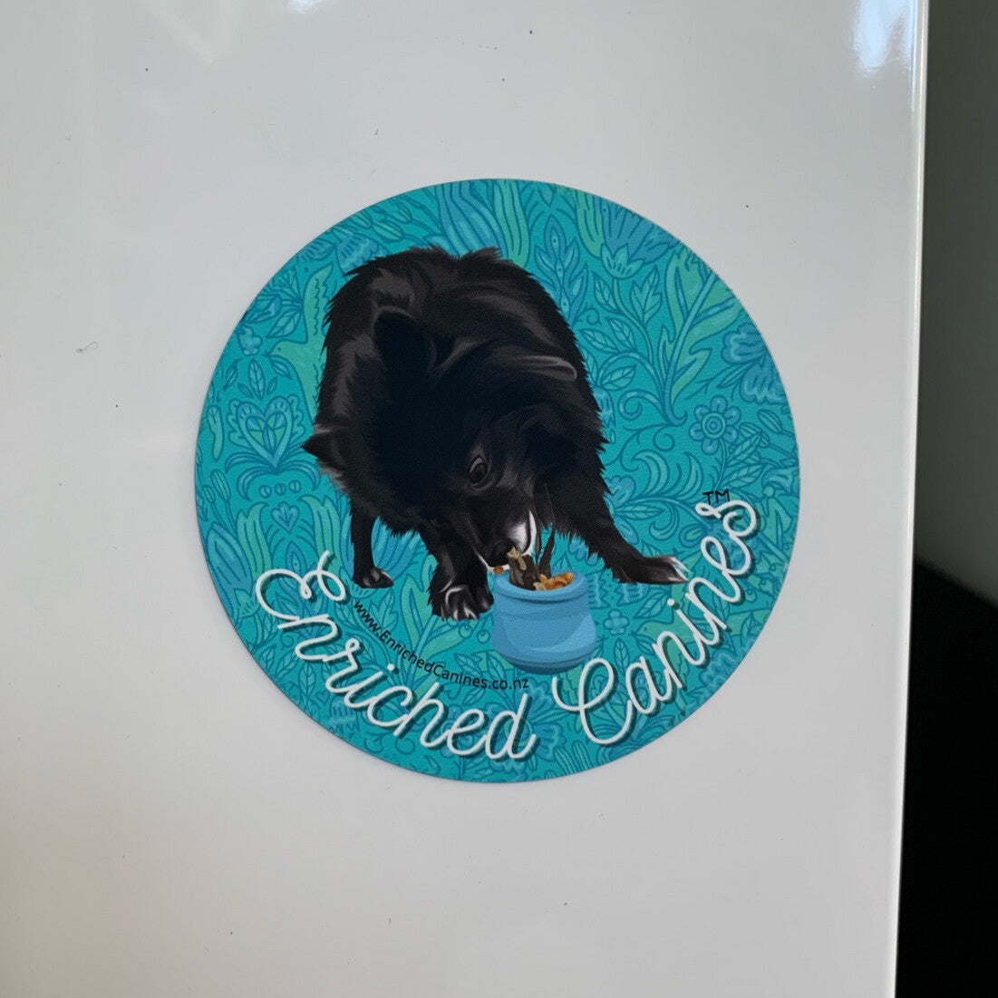 Enriched Canines Magnets