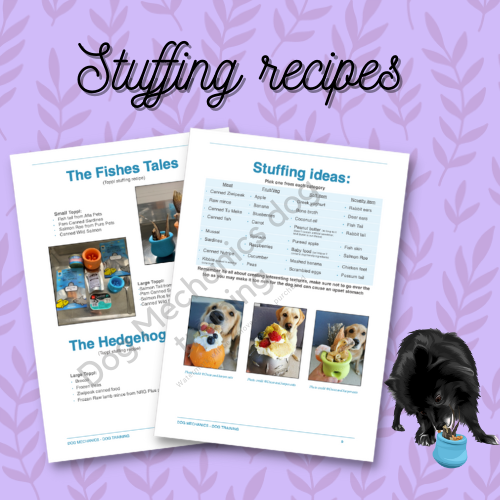 Beginners Guide to Enrichment - digital download. PDF