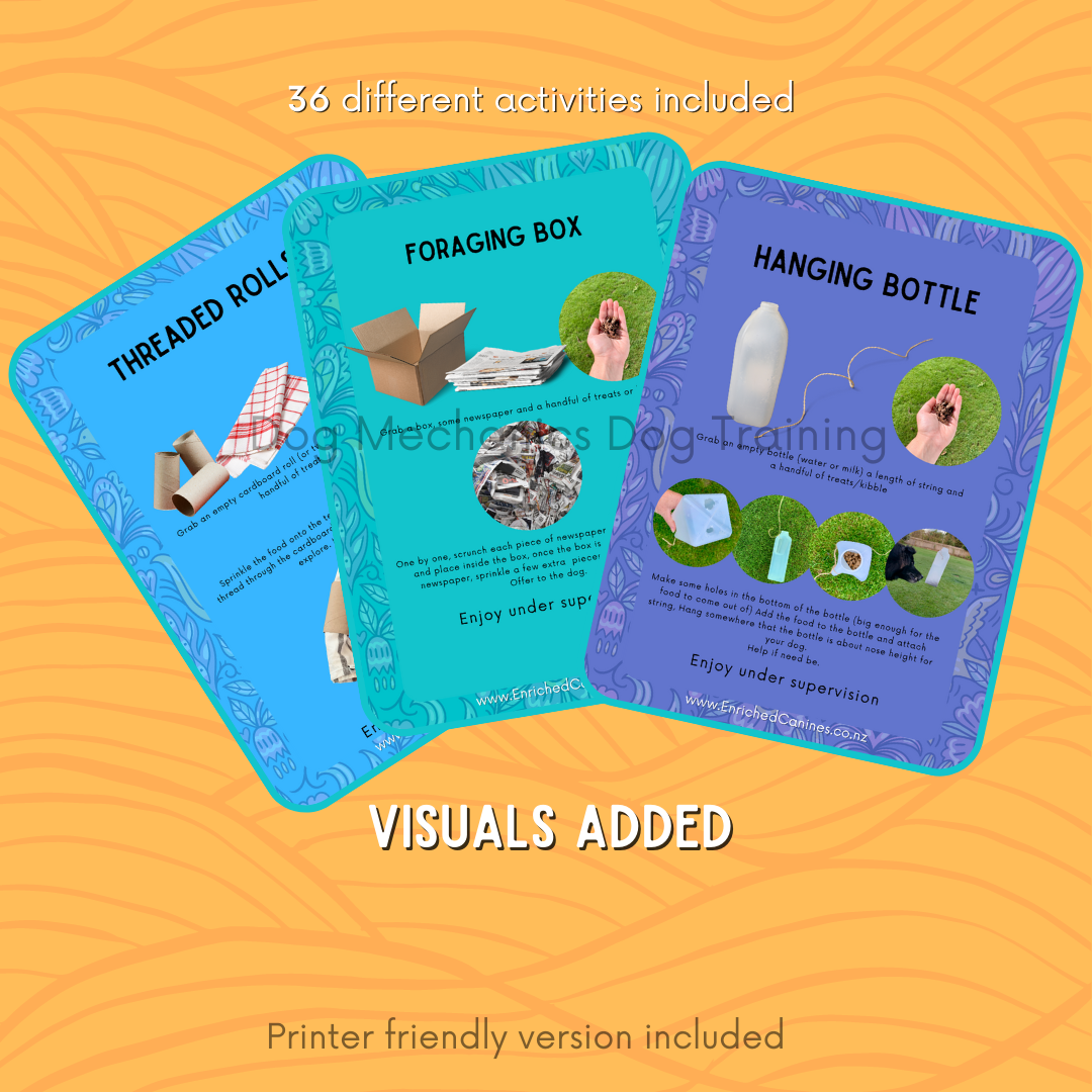 Enrichment Activities - digital download. PDF