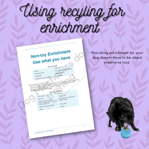 Beginners Guide to Enrichment - digital download. PDF