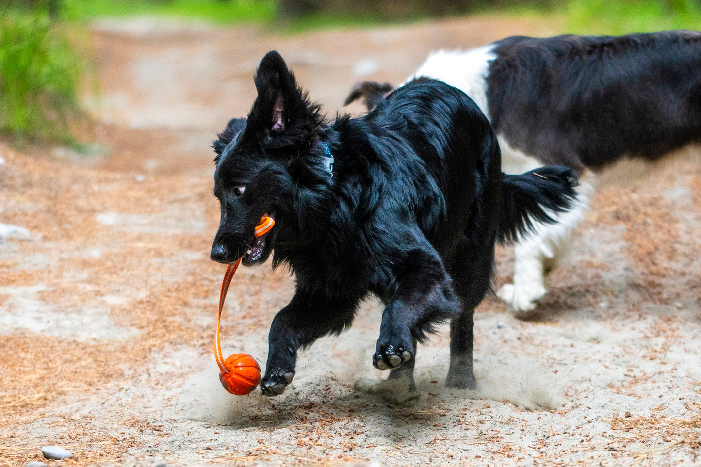 Liker Ball with Line