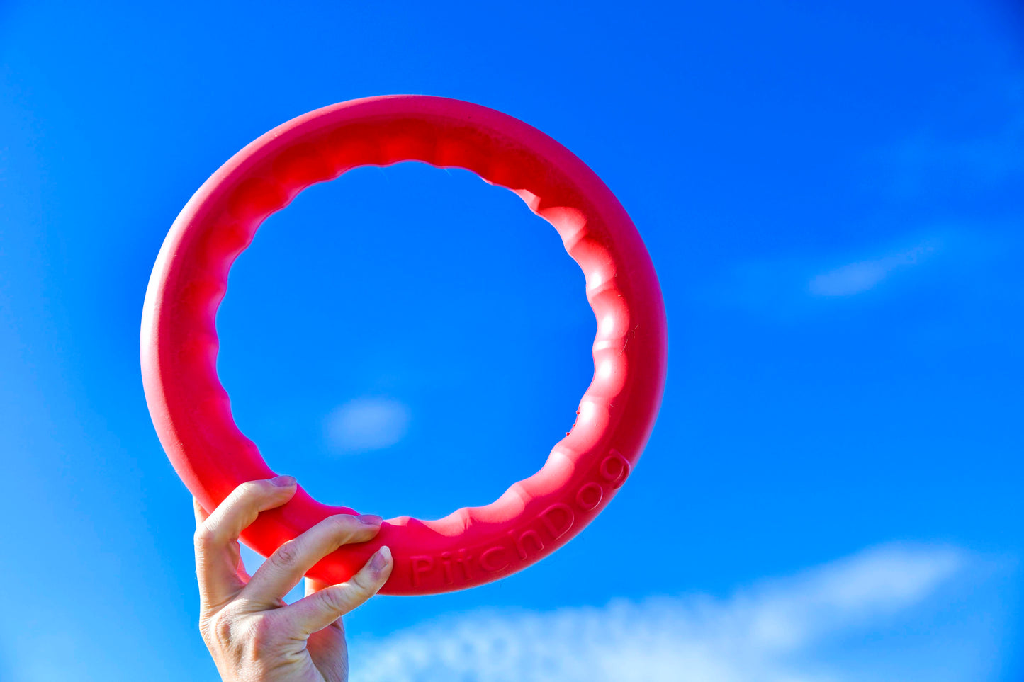 PitchDog Fetch Ring