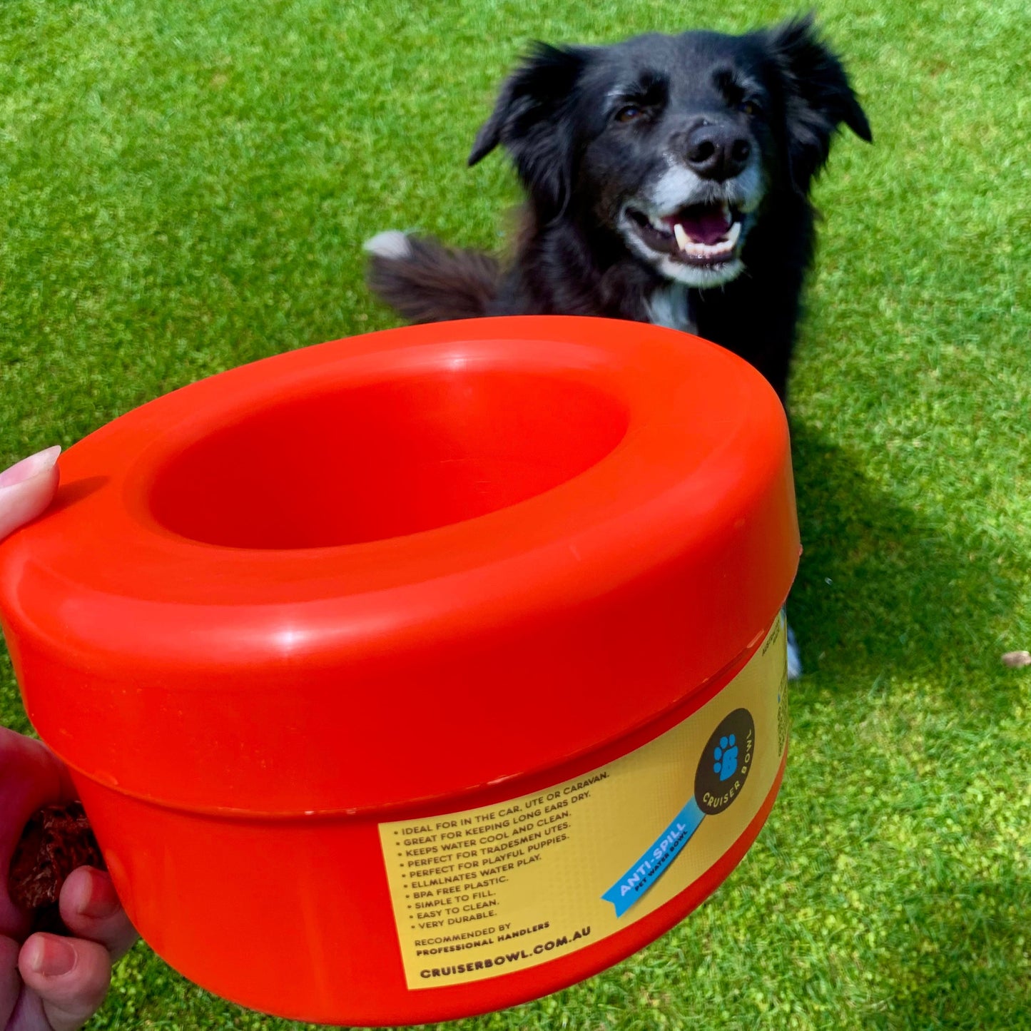 K9 Cruiser Bowl - Round