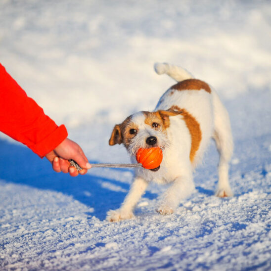 Liker Ball with Cord
