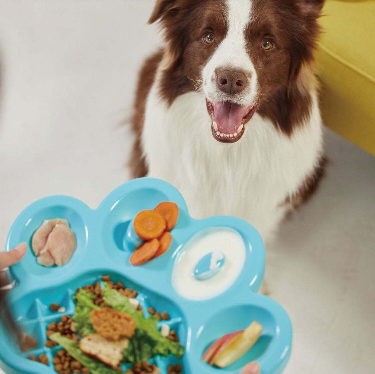 PAW 2-In-1 Slow Feeder & Lick Pad