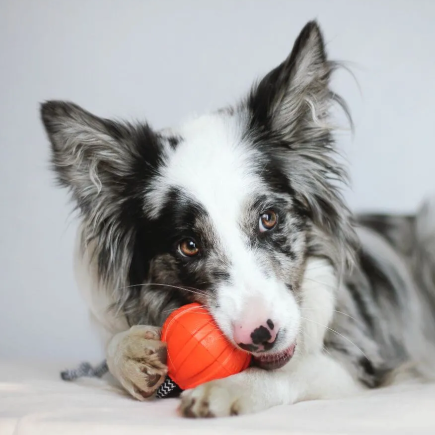 Liker Ball with Cord