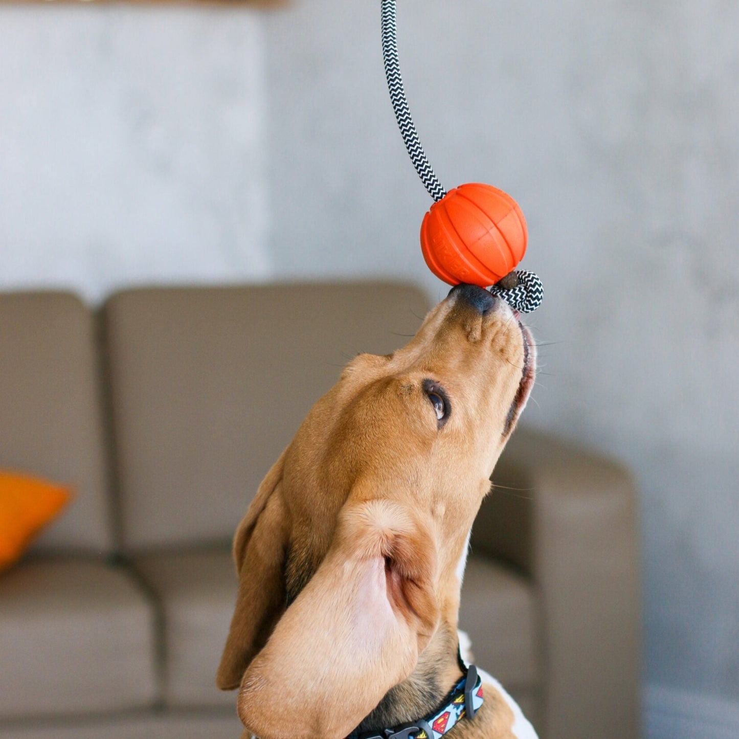 Liker Ball with Cord