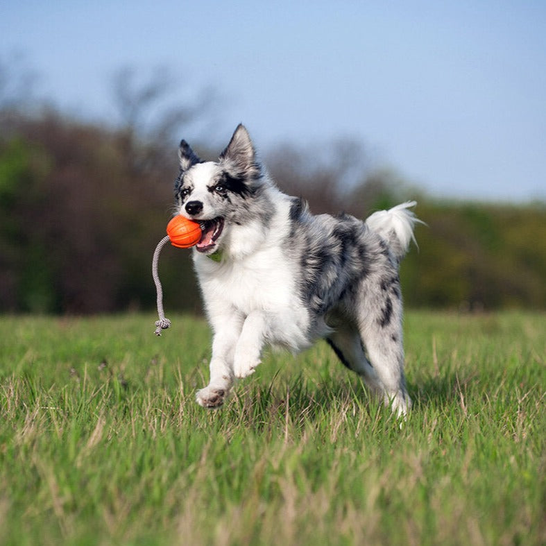 Liker Ball with Cord