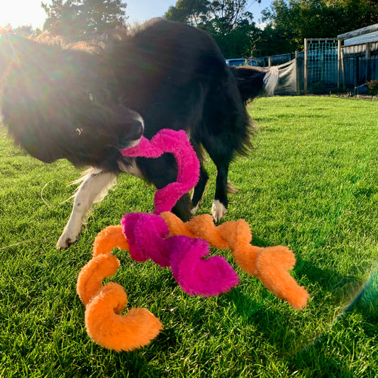 Fluffy Toys as Enrichment