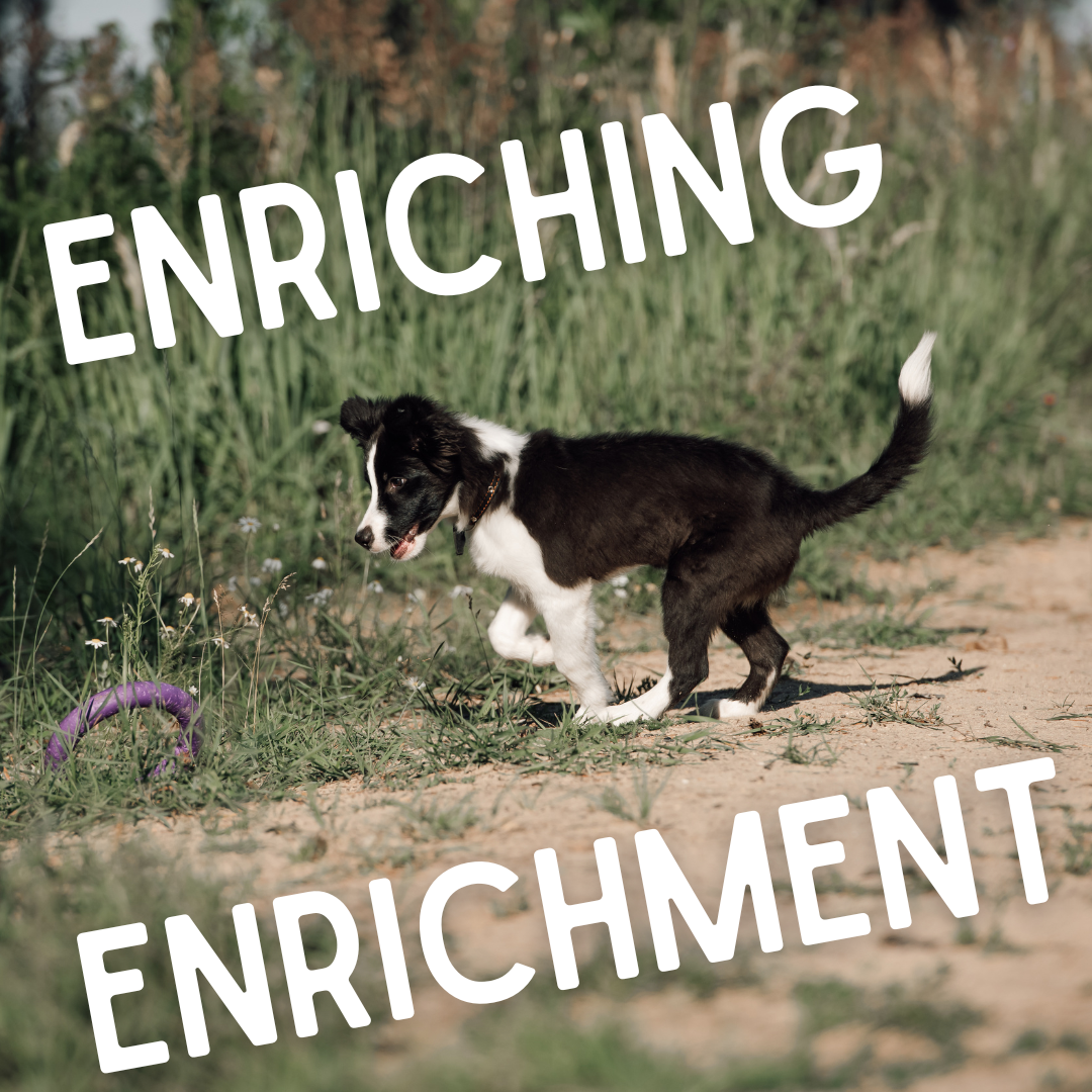 Enriching Enrichment