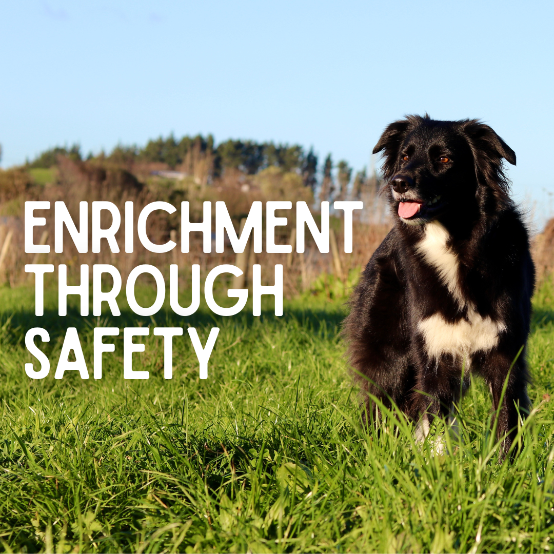 Enrichment Through Safety