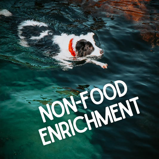 Non-Food Enrichment