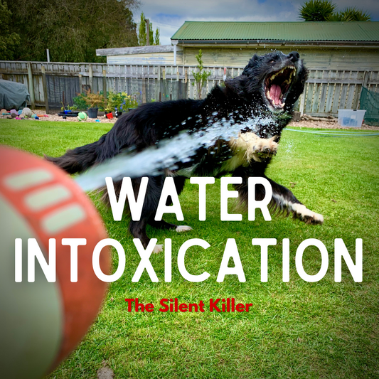 Water Intoxication