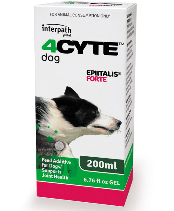 4CYTE Epiitalis Forte Gel Dog