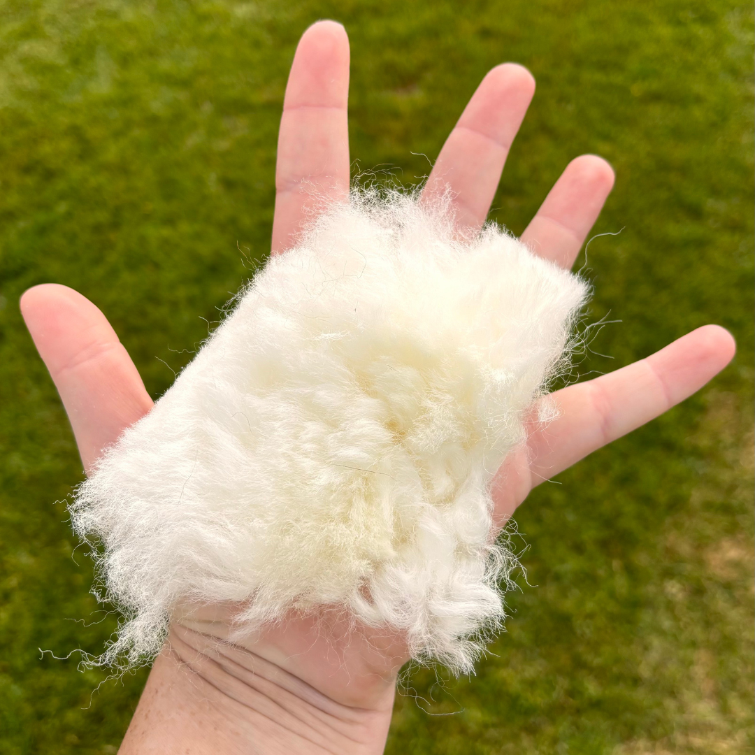 Sheepskin offcut