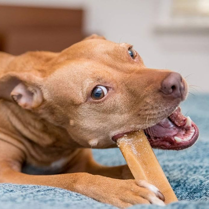 Himalayan Hard Cheese Chew