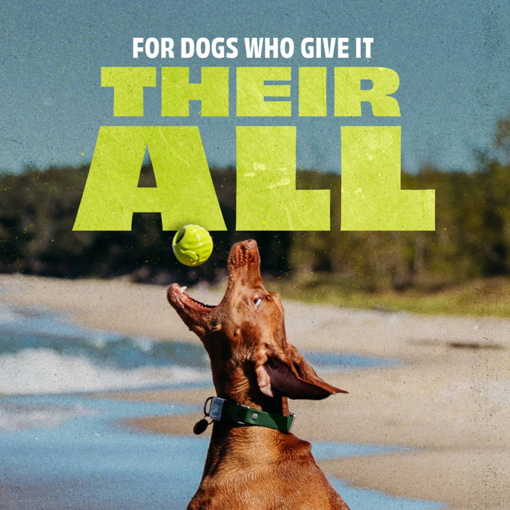 Benebone - Bounce - Ball