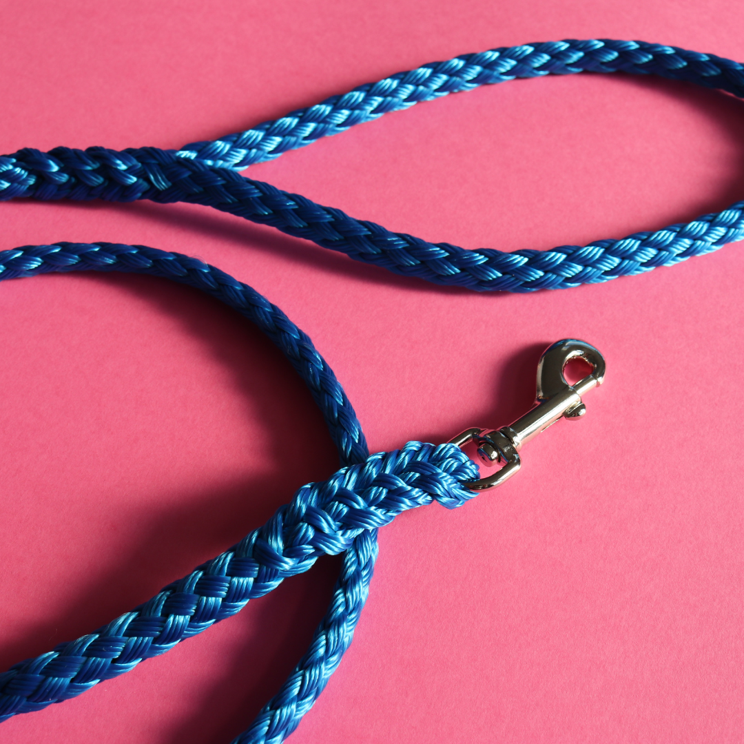 Standard Lead 60cm