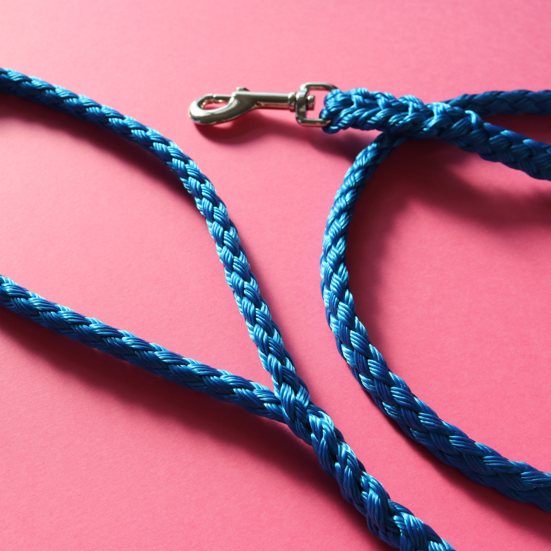 Standard Lead 60cm