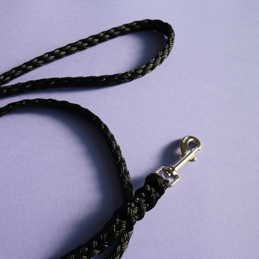 Standard Lead 60cm