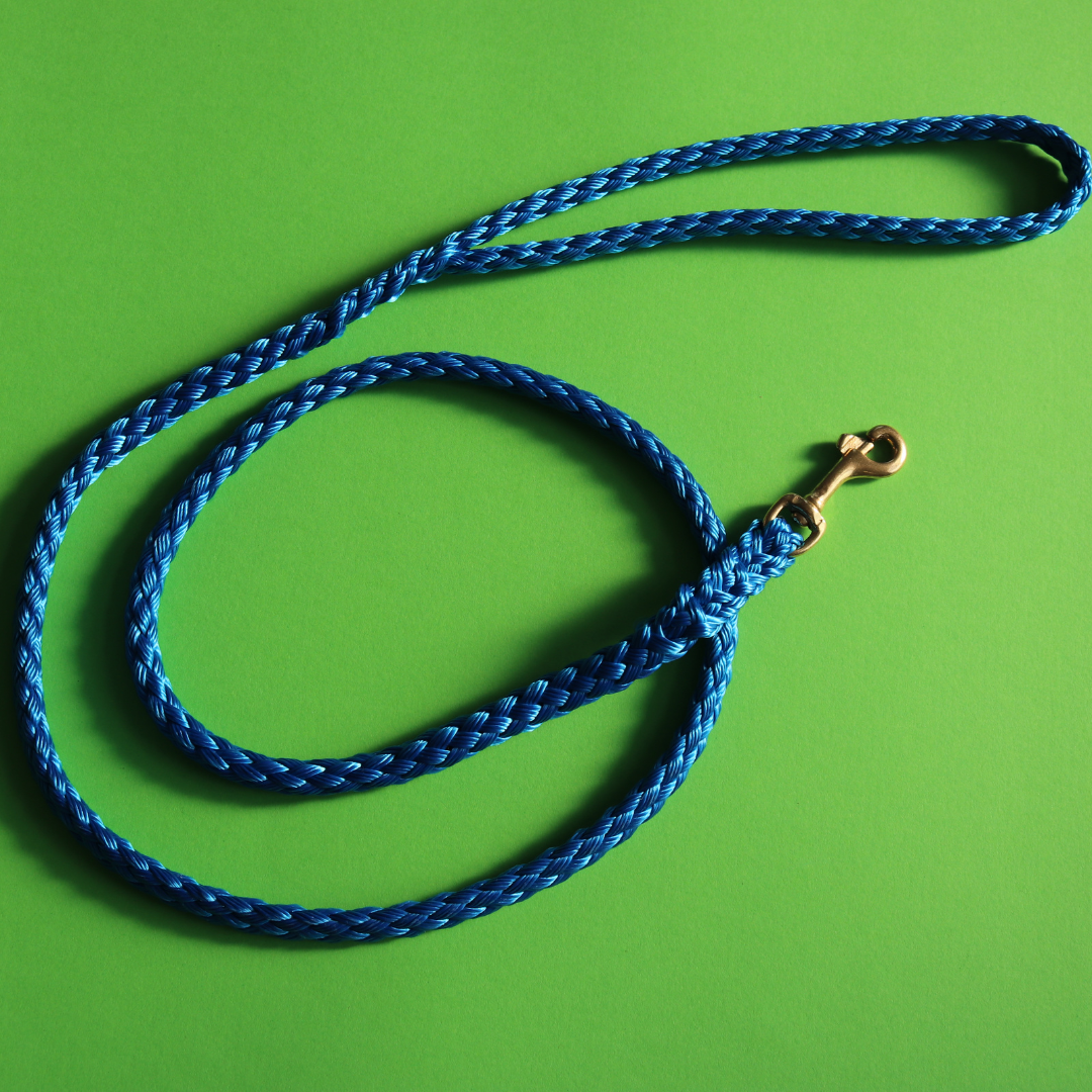 Standard Lead 1m