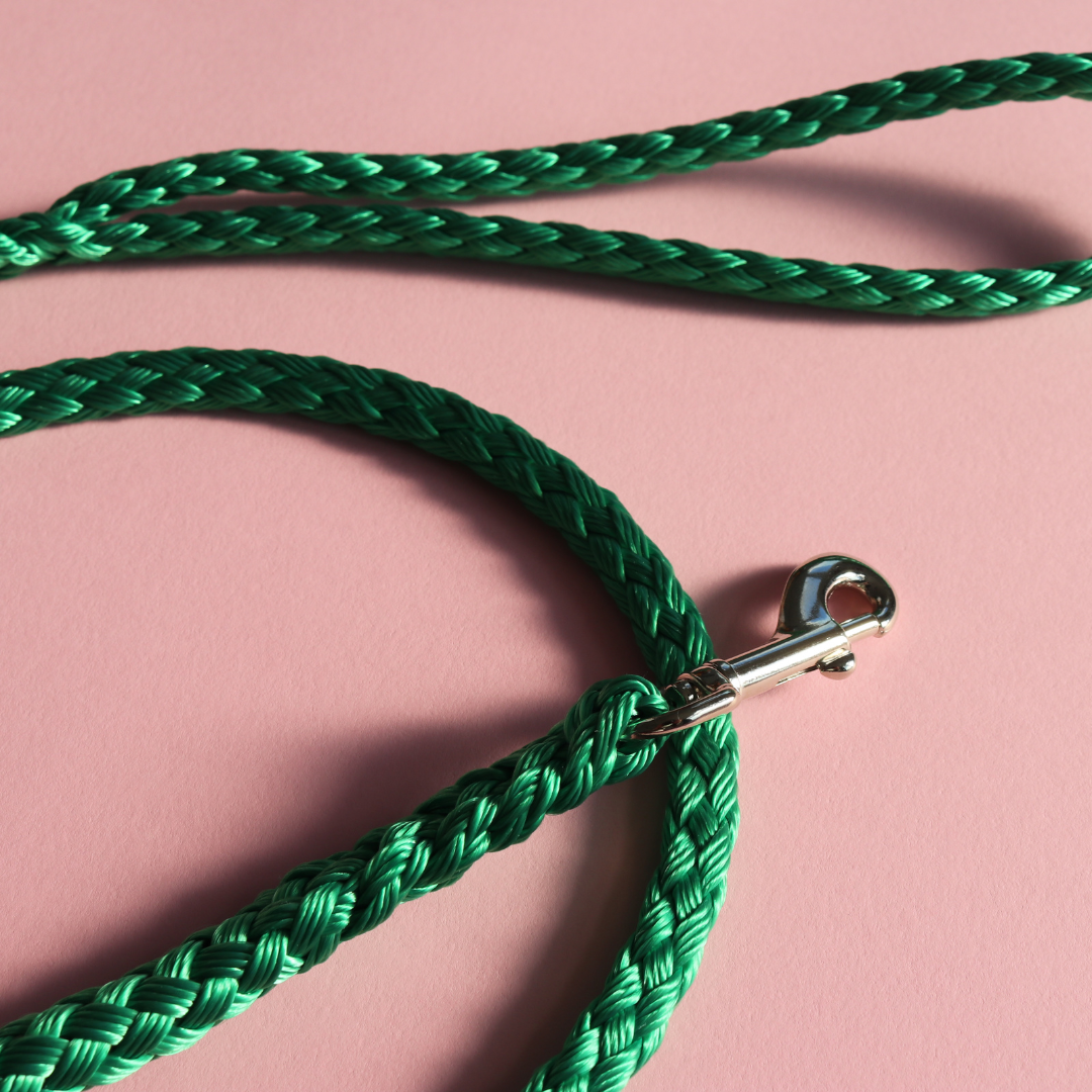 Standard Lead 60cm