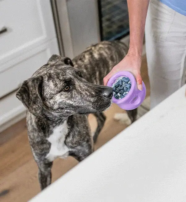 [LIMITED EDITION] West Paw - Toppl LAVENDER