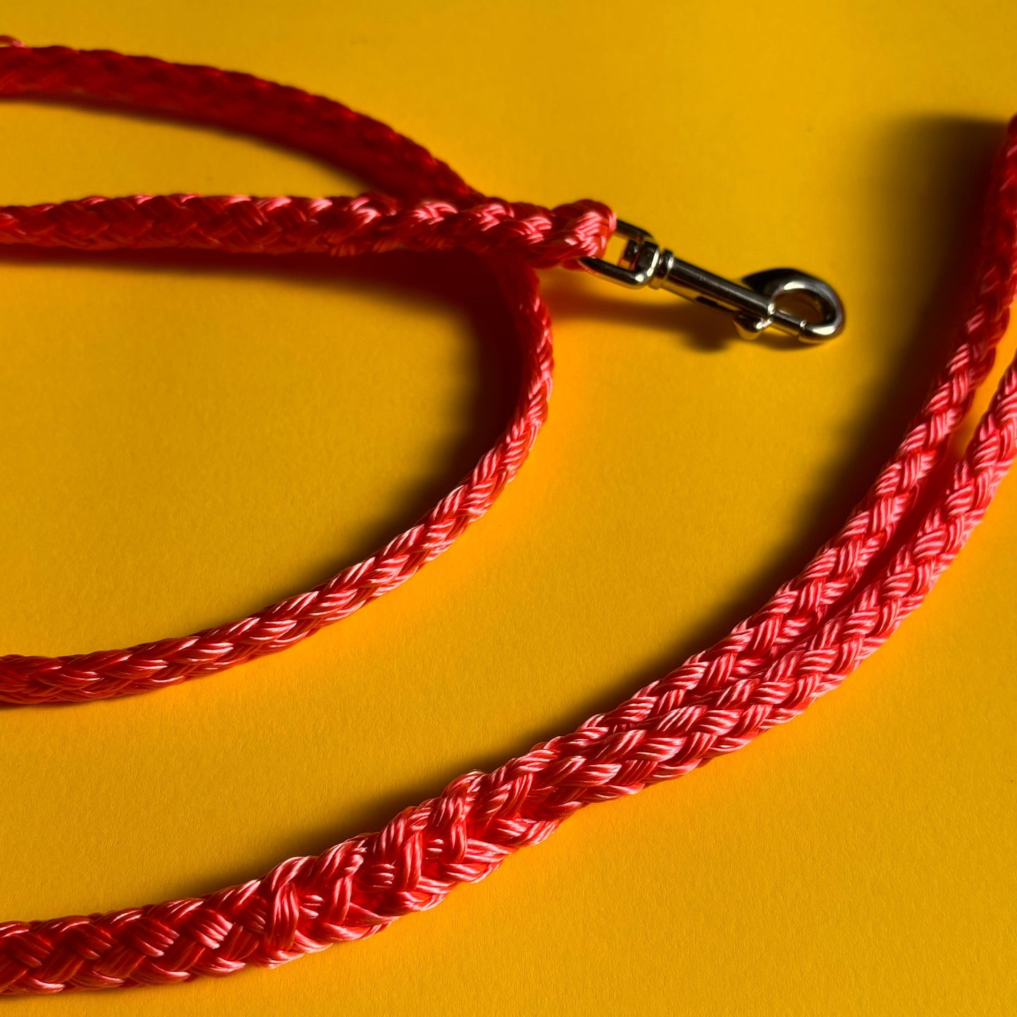 Standard Lead 1.2m