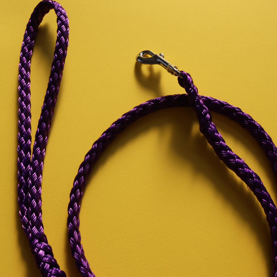 Standard Lead 60cm