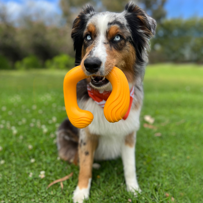 Creative Play C-Shuu