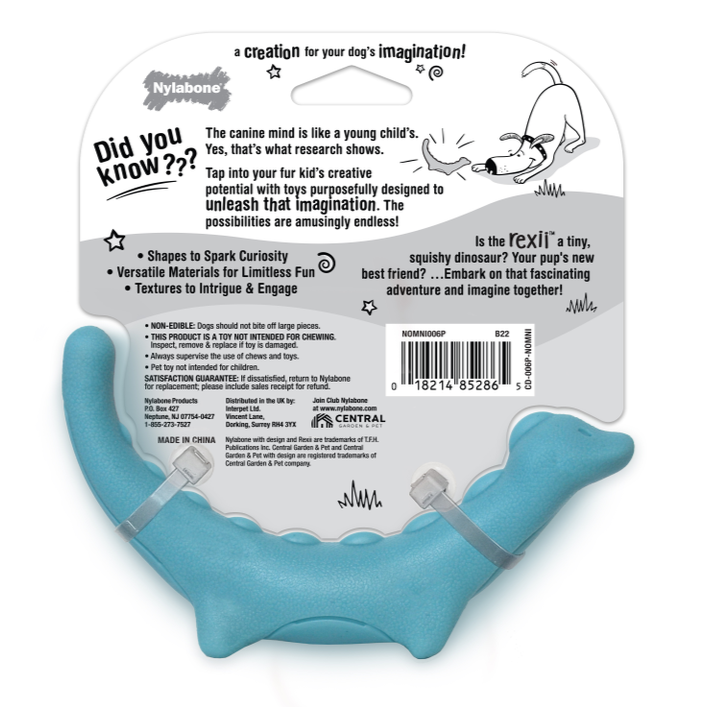 Creative Play Rexii Small