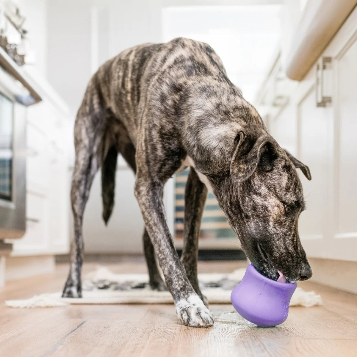 [LIMITED EDITION] West Paw - Toppl LAVENDER