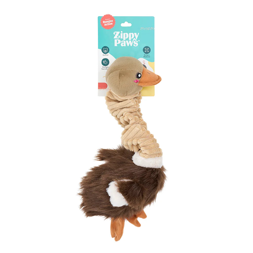 ZippyPaws - Bungee Buddiez - Ostrich