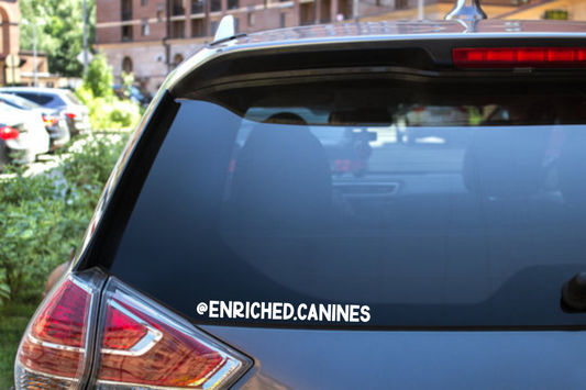 A white text decal reading '@ENRICHED.CANINES' applied to the lower left corner of a dark car's rear window, with an outdoor background showing a parking lot and buildings.