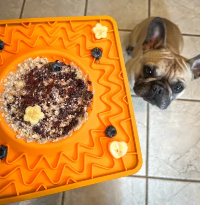 Messy Mutts - Licking Bowl Mat