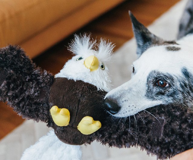 Edgar the Eagle