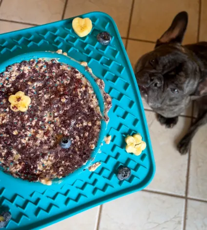 Messy Mutts - Licking Bowl Mat