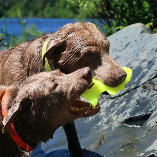 RuffDawg Flying Fish